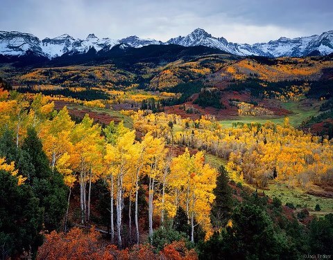 More Tips for Fall 
