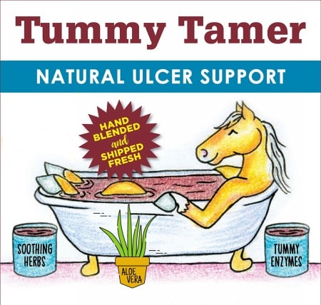 Tummy Tamer for Horses - Natural Ulcer Support with Aloe